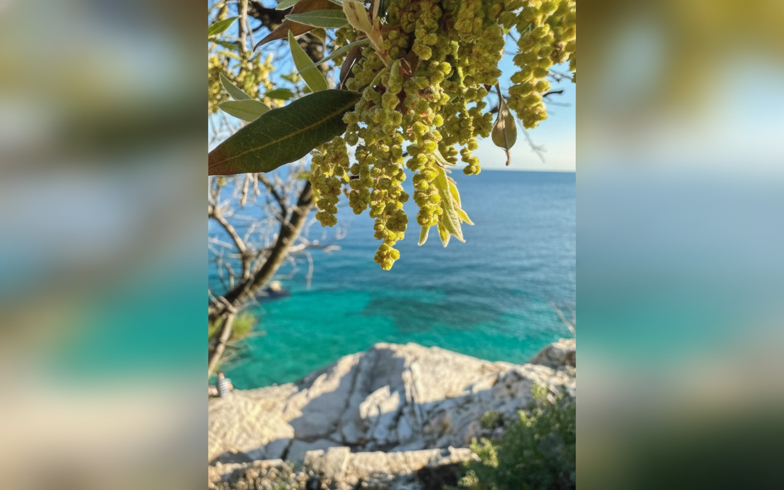 Profumi d'Istria, Pola (Pula)